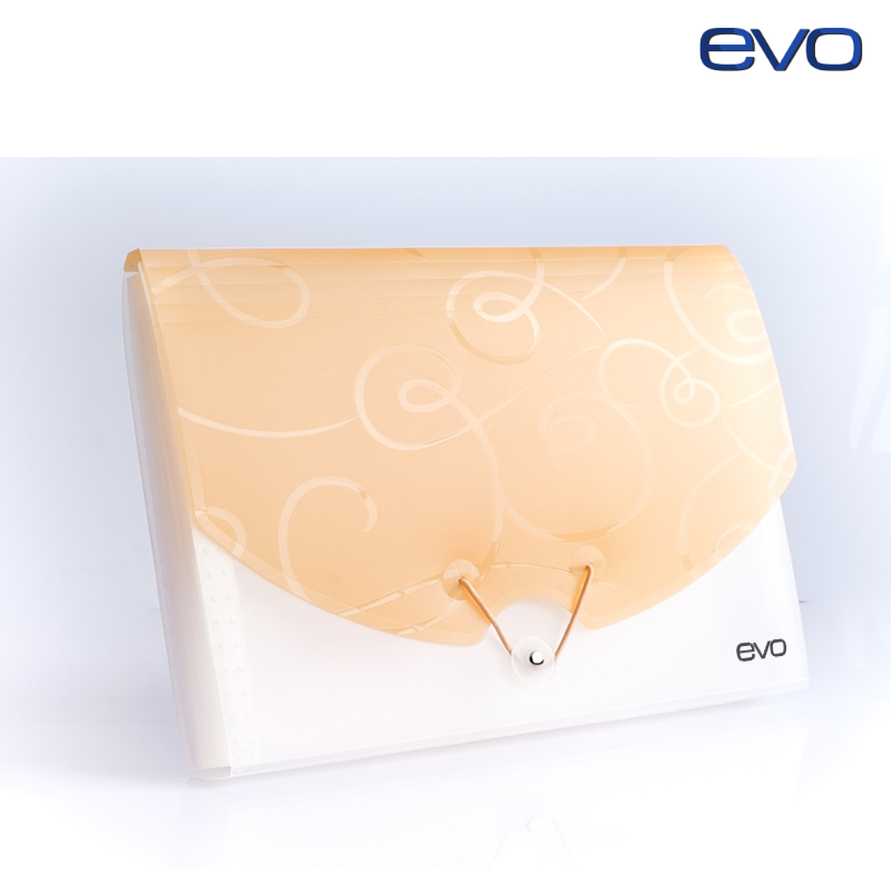 Revo Expanding File EVO Expanding File (prints)- A4 or FC size – Star 360