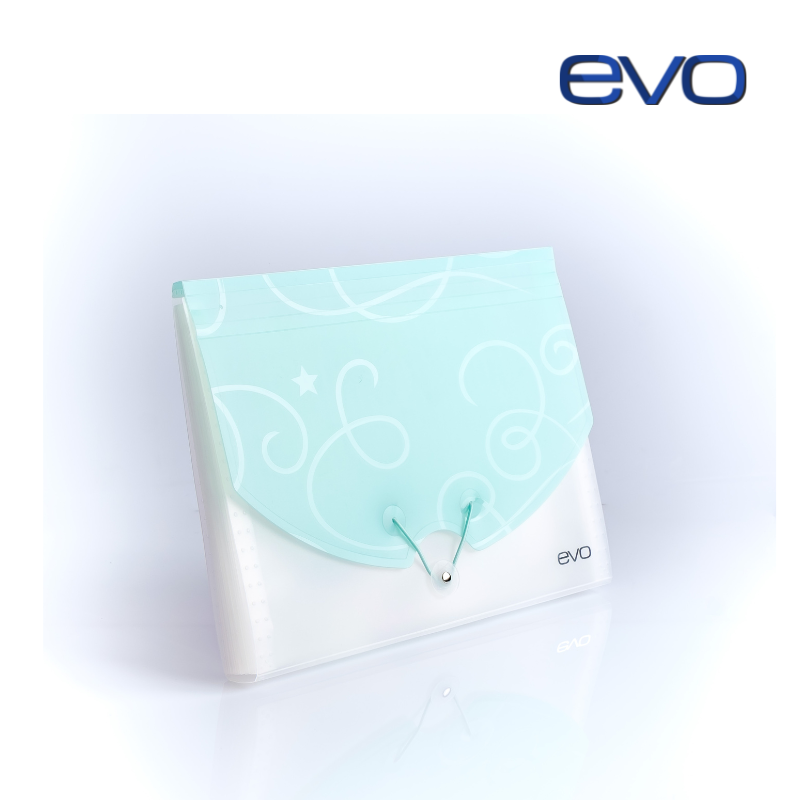 Revo Expanding File EVO Expanding File (prints)- A4 or FC size – Star 360