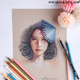 Prismacolor Premier Soft Core Colored Pencil (PC 1033 - PC 1103)